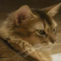 20100608ROEER_8.jpg