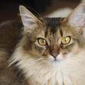 20120614ROEER_0341.jpg